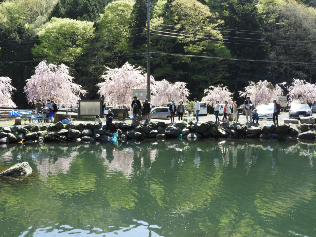 寄清流マス釣り場